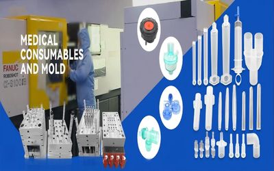 qualità Muffa automobilistica fabbrica