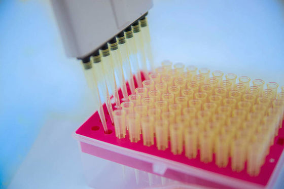 Forme a taglio multi-cavità per micropipettiture ad alta precisione