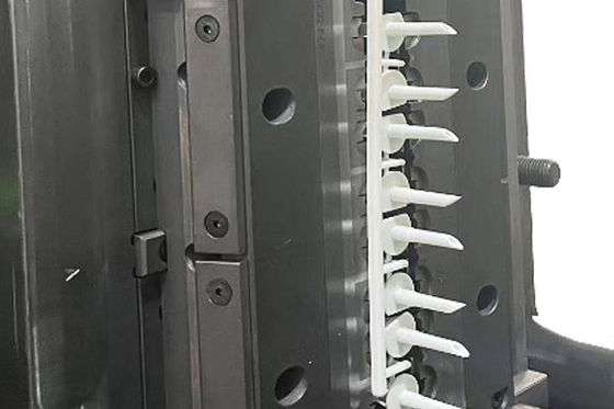 comprare Stampo professionale per prodotti medici con acciaio 1.2083 e progettazione di stampi 2D online manufacture